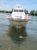 Test alb8_5